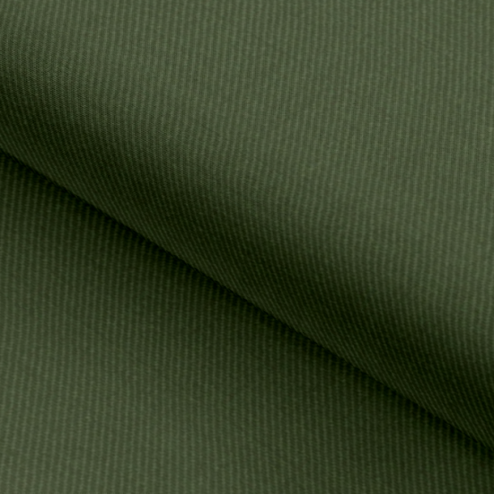 Wool Blend Green Solids Trouser